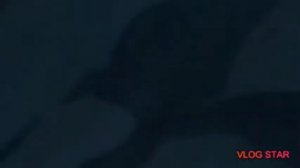 Naruto x Hinata (AMV) mai tera boyfriend