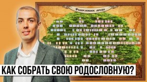 Как собрать свою родословную? Личный алгоритм и опыт | Генеалогическое древо | Генеалогия