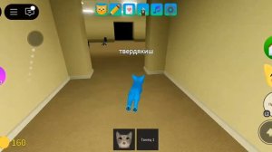 роблокс!!! как получить кота акуленка и черного кота в игре с котятами