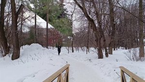 Ботанический сад