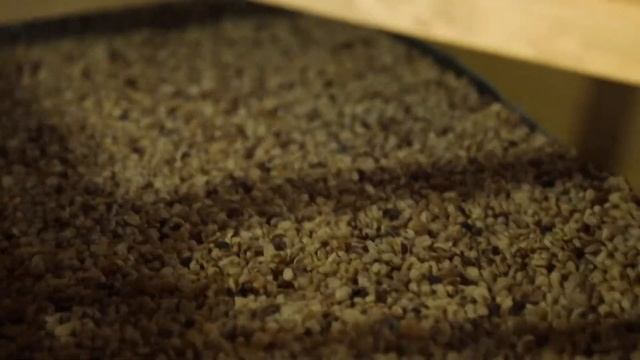 Bukonzo Organic Coffee Farmers Union Limited смотреть онлайн