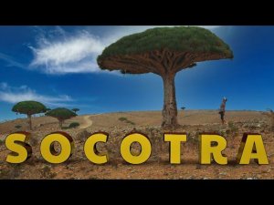 Сокотра. Кругосветка яхты Вера