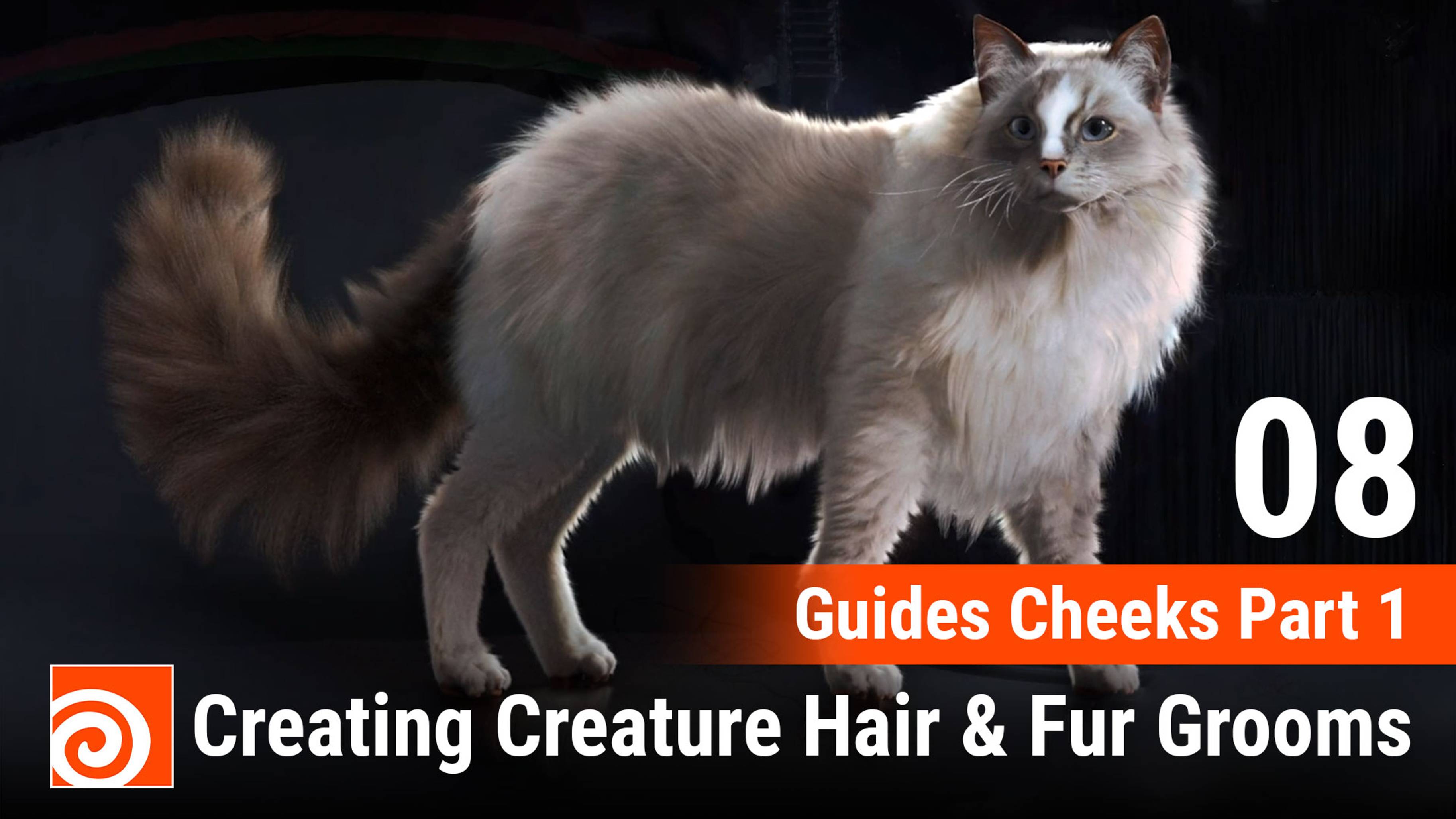 Creating Creature Hair & Fur Grooms in Houdini
08 Guides Cheeks Part 1