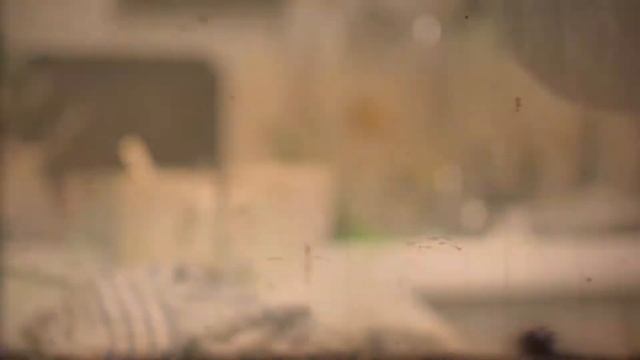 Coffee Break (Nightly Routines ) смотреть онлайн