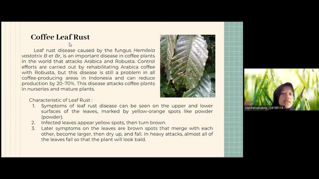 Control Recommendation of Pest & Disease in Coffee Plant_Group 5_Perennial Crops 2022