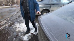 Нетипичный веставод. Нашли во дворах весту.