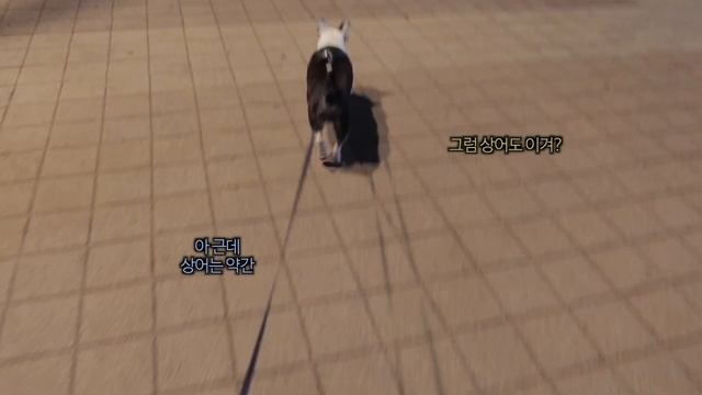 직장인 vlog 📽 내가 해외롱디 하는 법 ∙ 올리브영 향수 추천 ∙ 한강 피크닉 ∙ 데일리룩 ∙ 혼술 ∙ 일상 브이로그