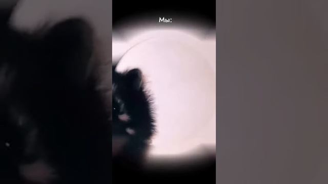 Задумались о ремонте и хотите избавиться от стресса  