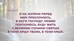 256. В тени крыл Твоих, Господь