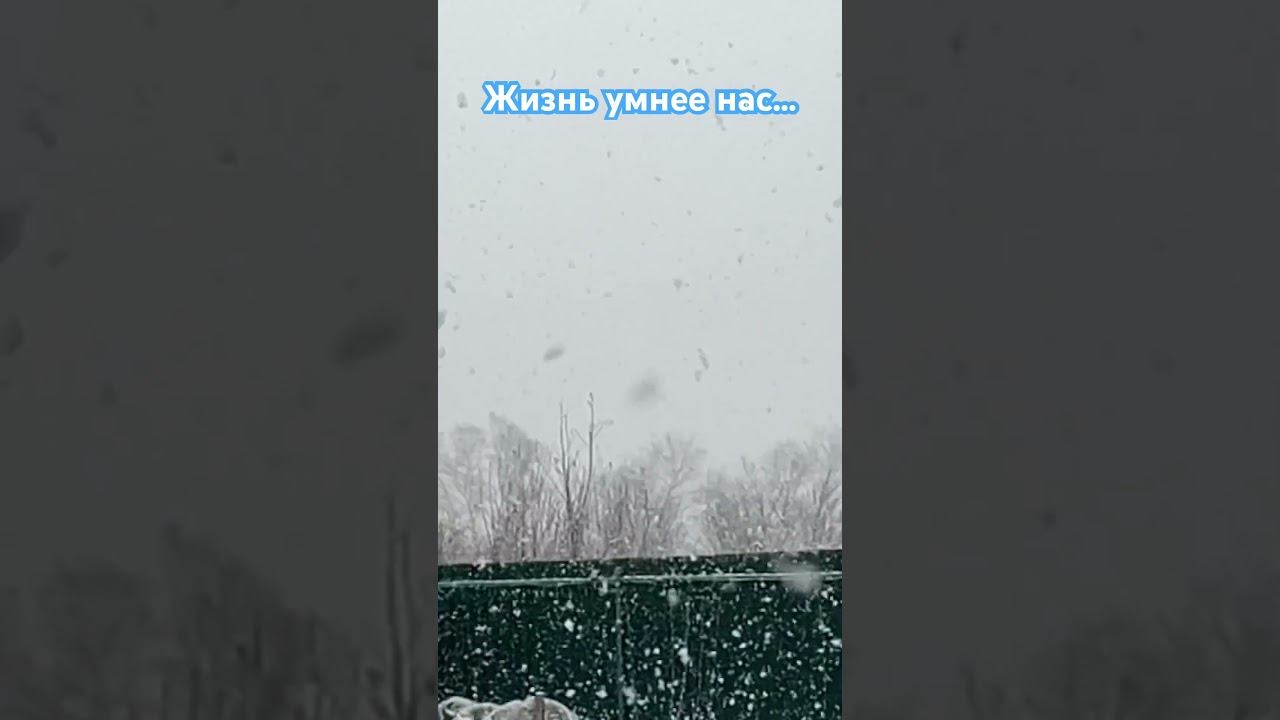 Мудрые слова Будулая #вдохновение #мудрыемысли #цитаты