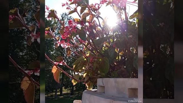 УСАДЬБА МОНРЕПО 💐