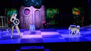 Анна Жернякова -Собаки New