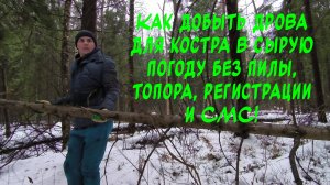 Как добыть дрова для костра в сырую погоду без пилы и топора.