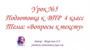 Подготовка к ВПР 4 класс. Урок №5 Вопросы к тексту.