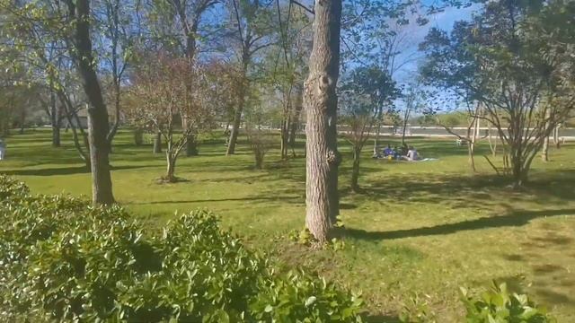 Vlog✨ Косметичка/ Сливки для кофе/ Закваска для йогурта/ прогулка в загородном парке смотреть онлайн