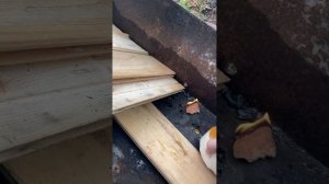 брикеты для розжига дров. полезная вещь