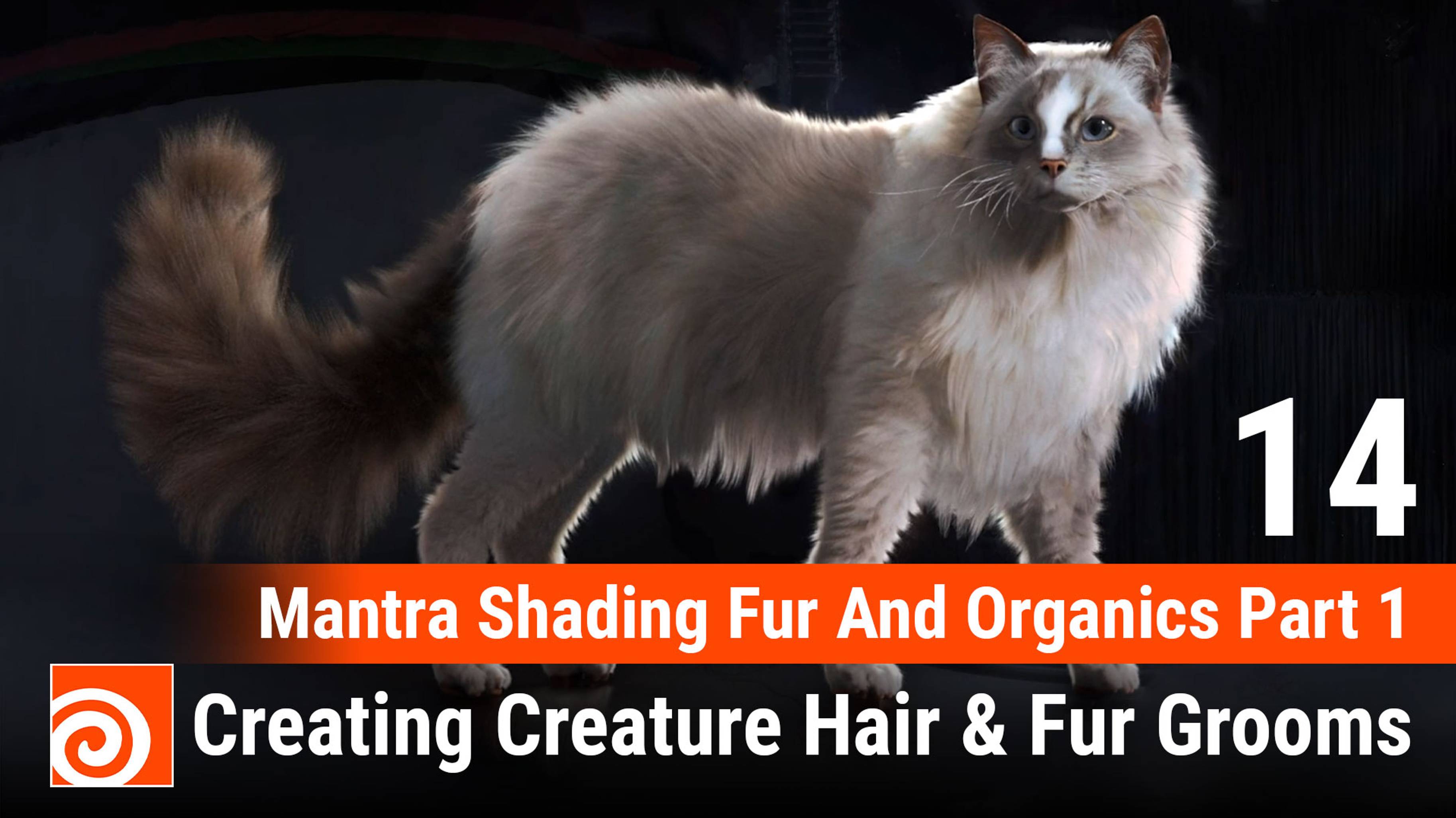 Creating Creature Hair & Fur Grooms in Houdini
14 Mantra Shading Fur And Organics Part 1