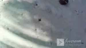 Алкоголь на Мальдивах? Не! Не слышали....