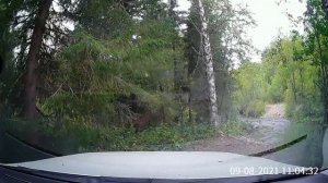 Дорога из пос. Большая Ослянка в пос. Северный Коспашский. Август 2021. Без звука.