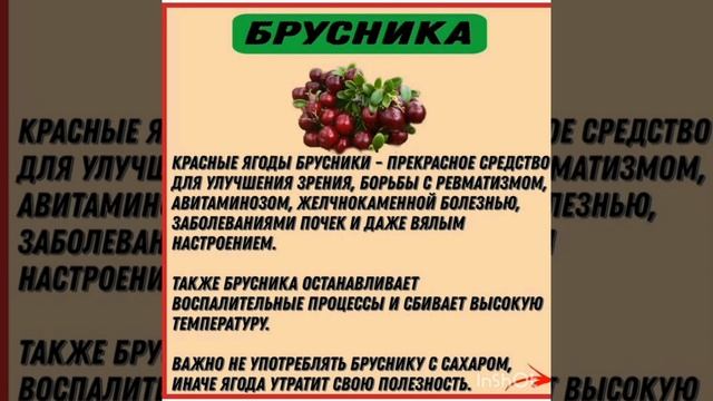 ПРО ПОЛЬЗУ БРУСНИКИ #шортс #shortvideo #здоровье #зож #брусника смотреть онлайн