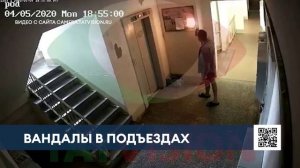 «Татвижн»: после повсеместной установки камер нижнекамцы стали вести себя культурнее