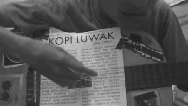 Kopi Luwak Song.wmv смотреть онлайн
