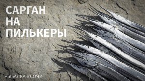 Ловля черноморского саргана на пилькеры. Рыбалка в Сочи.