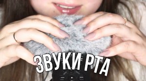 /      АСМР Многослойный Неразборчивый Шепот, Звуки Рта, Эхо, Ветрозащита