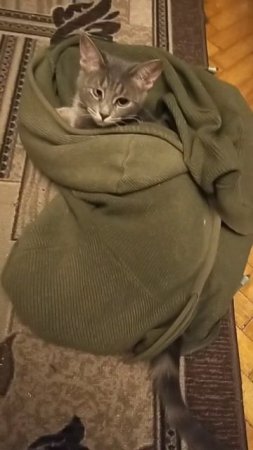 Кнопа