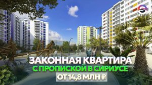 Самая доступная квартира с пропиской в Сириусе. Цена НИЖЕ РЫНКА!