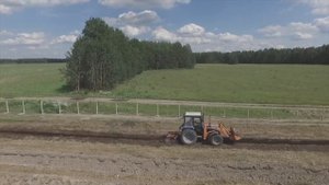 Этапы посадки плантации голубики