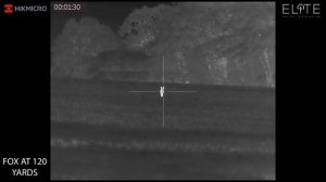 HIKMICRO Thunder Pro TQ50 Test Footage