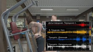 Отжимания на брусьях. Что качаем? Миограф