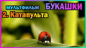 | Мультфильм | БУКАШКИ | 2. Катапульта |