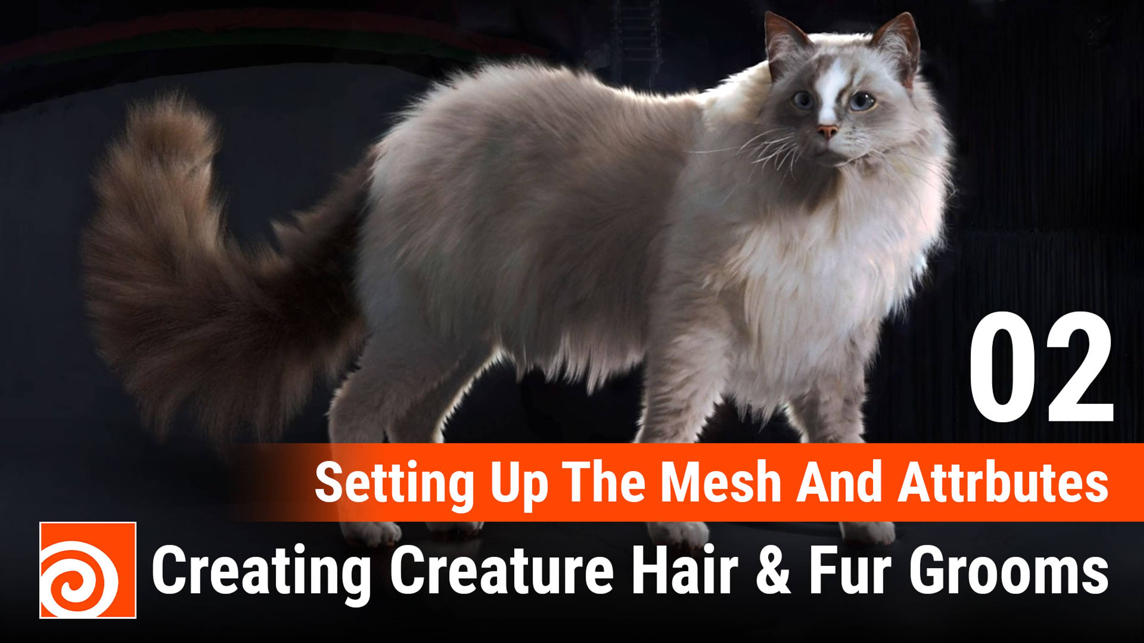 Creating Creature Hair & Fur Grooms in Houdini
02 Setting Up The Mesh And Attributes