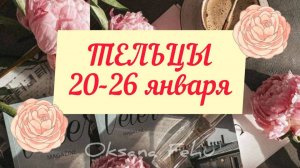 тельцы 20-26 января