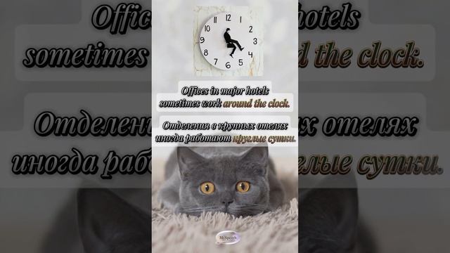 Cry wolf, Around the clock