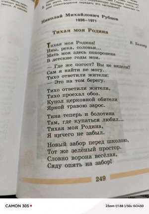 Тихая моя родина