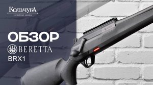 Обзор Beretta BRX 1