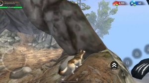 Вечерний обзор локации игры  Wolf Tales.