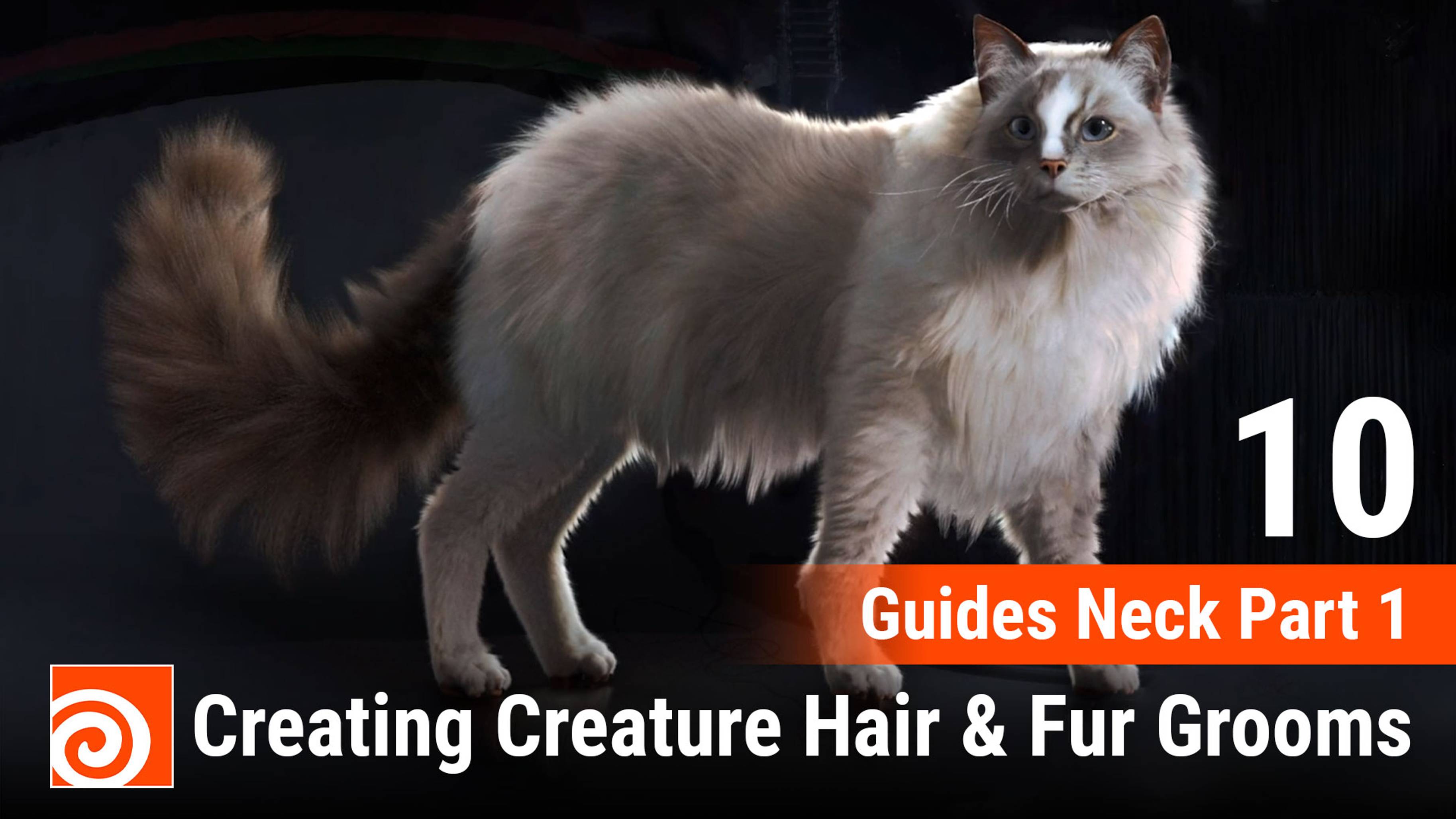 Creating Creature Hair & Fur Grooms in Houdini
10 Guides Neck Part 1