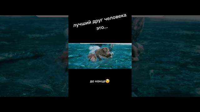фильм