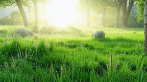 Утренняя медитация «Пробуждение женщины»