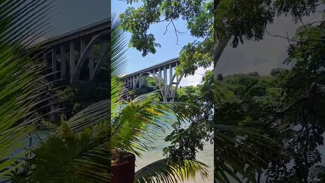 Куба. Варадеро и окрестности: пещера Saturno, кофейная ферма Dionisia, заросли Rio Canimar. #cuba