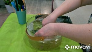 КОМНАТНЫЕ РАСТЕНИЯ(ЦВЕТЫ).НОВИНОЧКА ИЗ МАГНИТА И ПОКУПКА ИЗ ФИКСА.