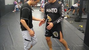 2015 год. На стыке айкидо и борьбы.