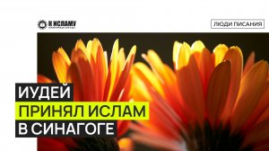 История принятия Ислама иудеем в синагоге, когда туда зашёл Пророк Мухаммад ﷺ