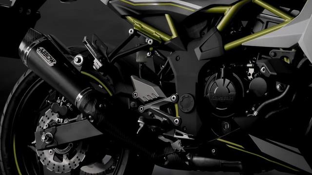 Finally, Kawasaki Z-125 Under 1.20 Lakh Launch In India 💥 | Kawasaki Upcoming Bikes | epicriderjayz
