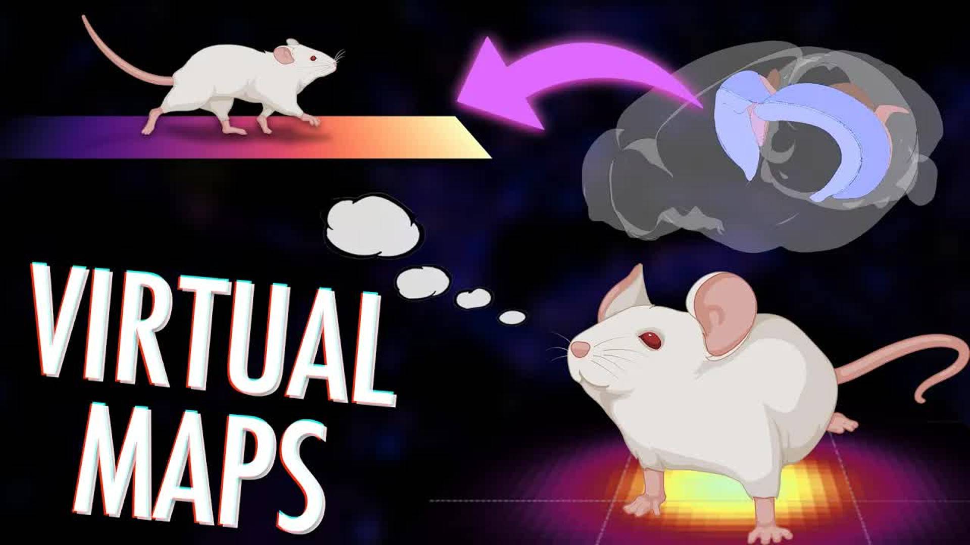 Artem Kirsanov [рус] _ Place cells: How your brain creates maps of abstract spaces