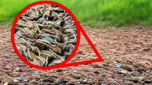 Пугающие Находки На Природе